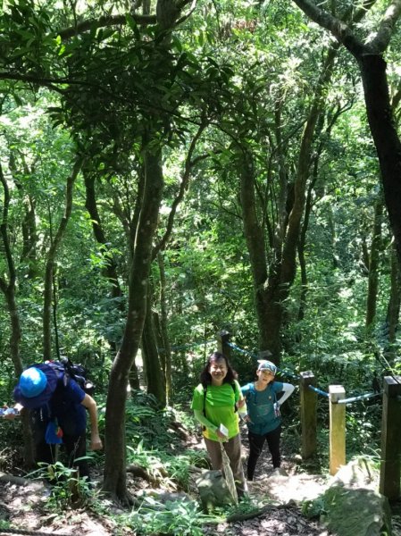 [小百岳尋寶任務] #20 新店獅仔頭山1032314