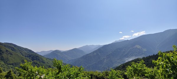 2026/05/31_白蘭溪古道O型3066872