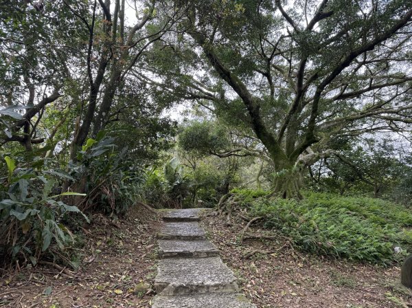 [微笑山線_第四段] 2026_0321 天上山系_石門內尖山東峰3021306