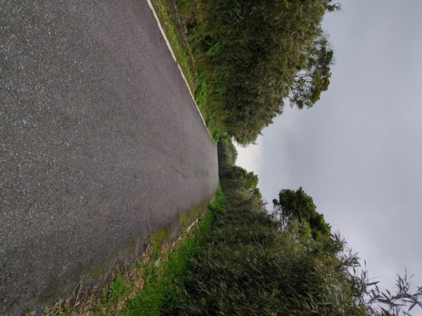 第二段：二子坪→小油坑2759599