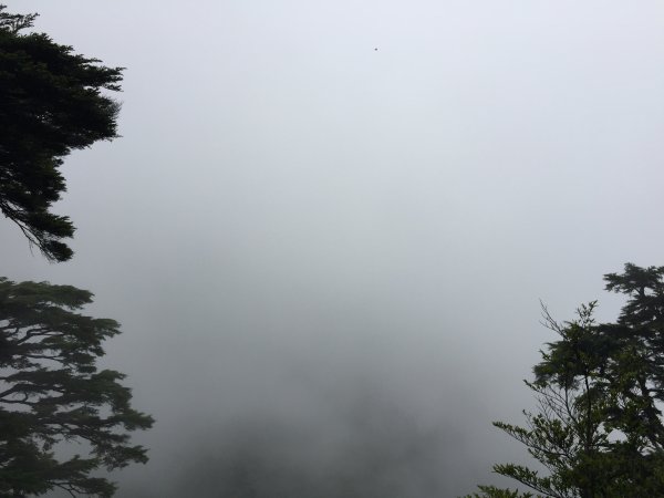 玉山主峰(二登)2530263