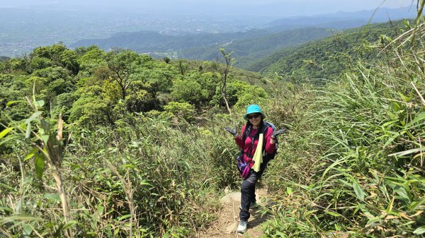 神級景點抺茶山，爬抹茶山的最佳季節，沿路桐花地毯，層層疊疊的山巒，壯闊的山谷2774473