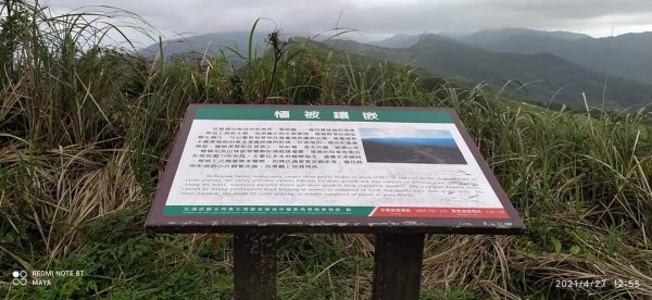 桃源谷步道- 視野遼擴、群山環繞、風行草偃、鶴隨牛行1365336