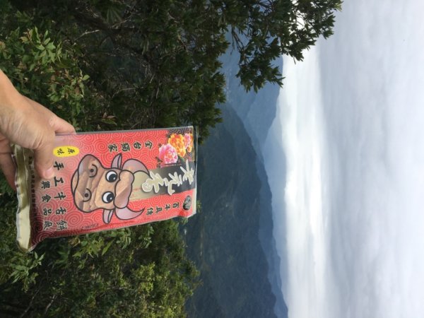 慶元旦（🎉🍾️2025-01-01🍾️🎊2680650