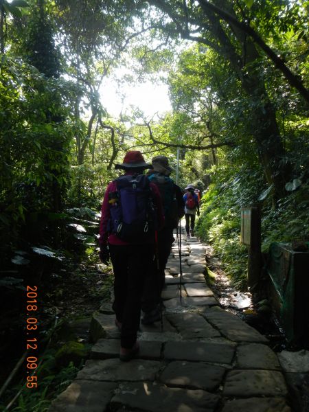 土城天上山五城山將軍嶺綠野香坡社區285788