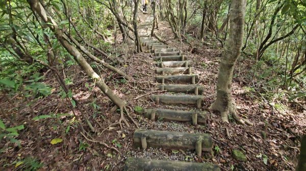平湖西步道.內平林山.大坑山.平湖東步道O走全紀錄3094126