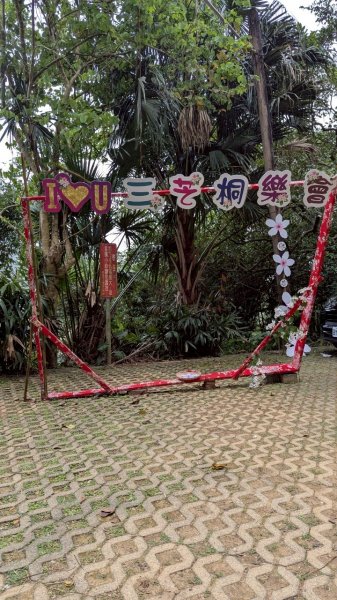 114.05.04三芝桐花步道-百年田梯步道-大鵬足湯公園2779889