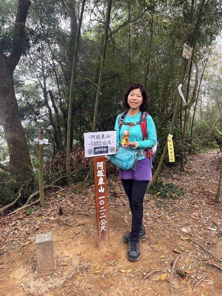 大巃頂-獨立山-阿拔泉山 O繞1680488