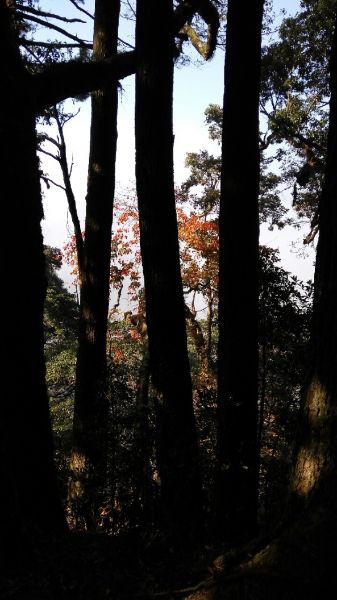 104.12.1台中稍來山南峰+稍來山主189014