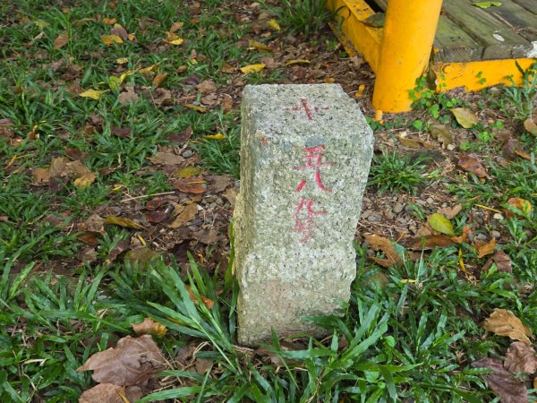 虎頭埤環湖步道（新化虎頭山）2890913