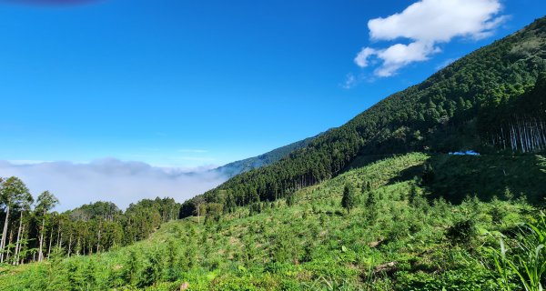 111/12/03新竹縣五峰鄉油羅山、西油羅山1976356