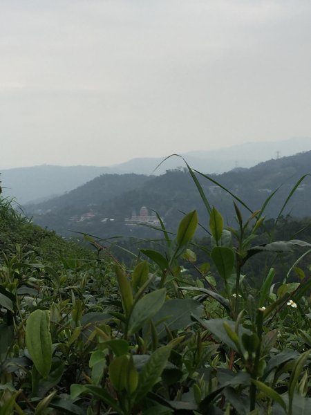 銀河洞越嶺登山步道1056530