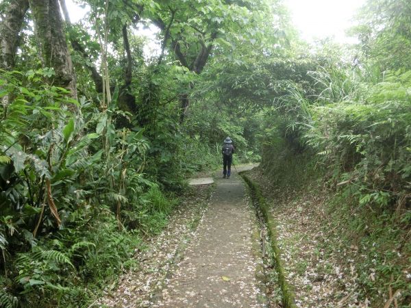 銀河洞瀑布．待老坑山．樟湖步道127853