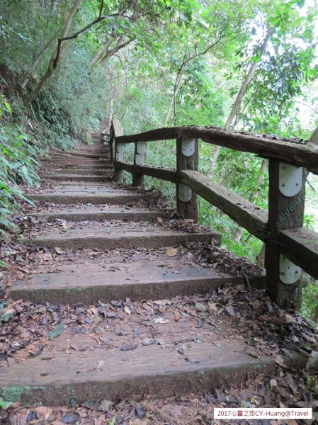 《南投》心靈之旅｜惠蓀林場步道群20171010-212890523