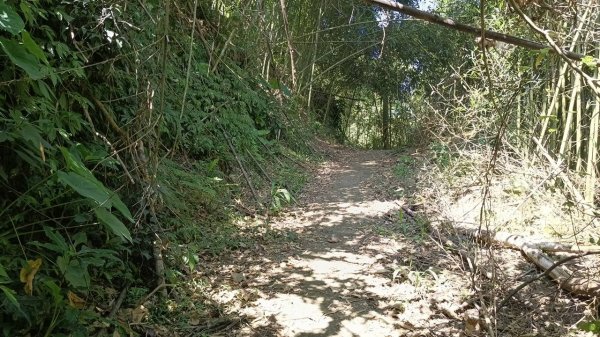 20251004 馬那邦山 - 珠湖 登山口2904982