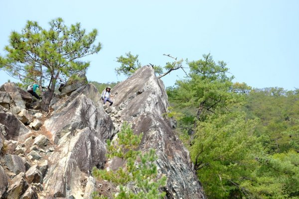 谷關七雄 | 東卯東南稜下松鶴1320684