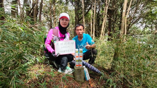 大塔山探勘大塔山最高峰(光頭兄) O繞順走大塔山西峰艱難路線下溪谷 2024年8月11日2569728