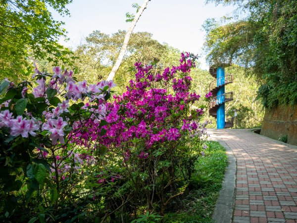 三民蝙輻洞2802482