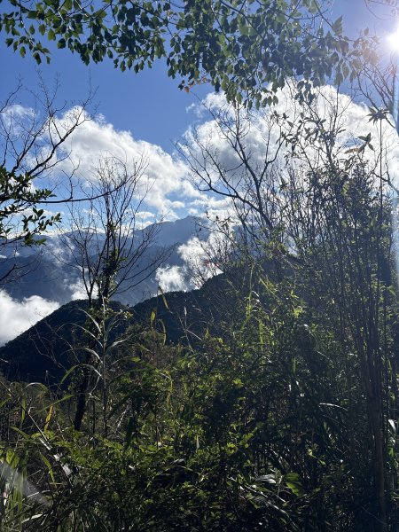 20251225塔山步道(大塔山)2970350