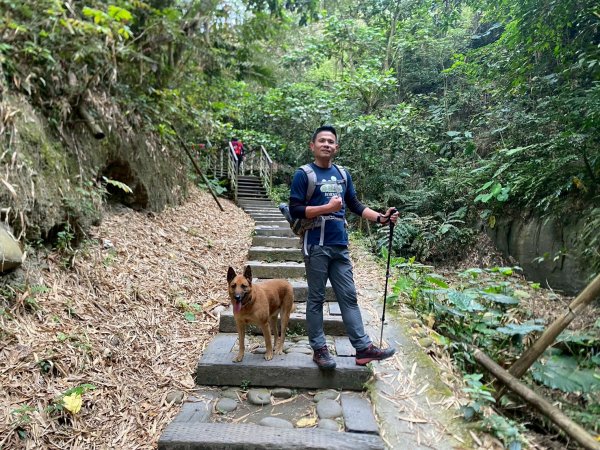 田中森林步道.赤水崎步道.龍過脈步道【都是友善石虎的好地方!!】2766681