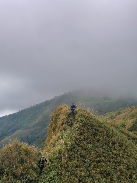 渭水之丘 烘爐地山 抹茶山 三角崙山2938795