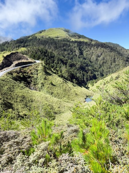 爬不膩的 合歡北峰2907033