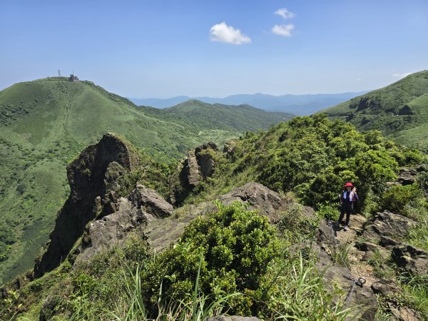 20260426 新北金瓜石半屏山無耳茶壺山3050526