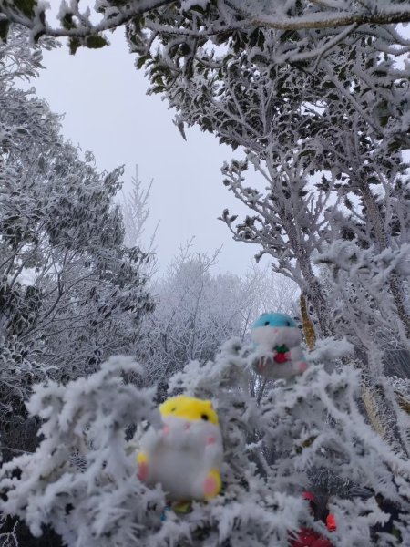 雪季北得拉曼2956408
