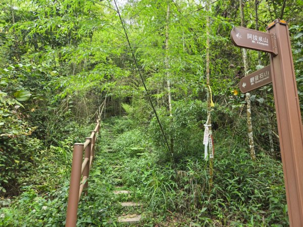 獨立山、觀音石山、阿拔泉山O繞3059983