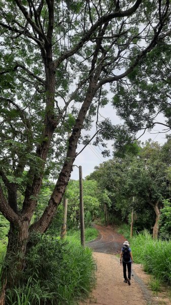 《彰化》香山。東方｜八卦山香山步道東方公園202305152151400