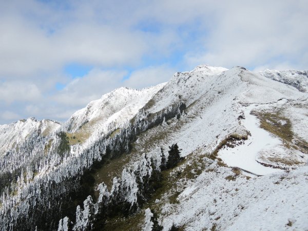 合歡山也有藏王樹冰的雪景510340