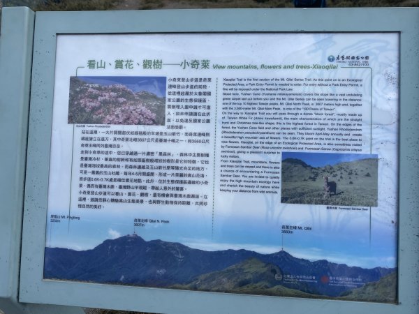 啟動高山渡假模式  奇萊主北三日遊2795325