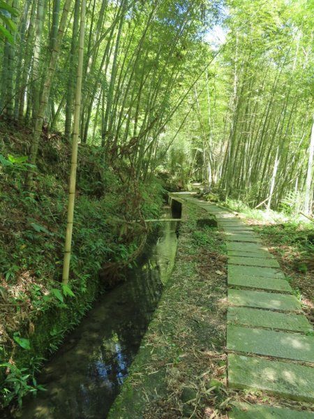 小半天孟宗竹林古戰場+長源圳生態步道Ｏ形2877859