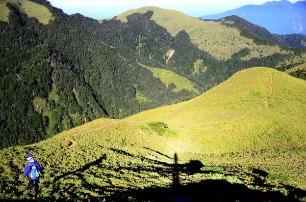 被合歡山群峰遺忘的明珠..石門山北峰139693