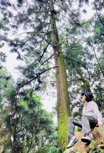 1150730嘉義大凍山之旅3092624