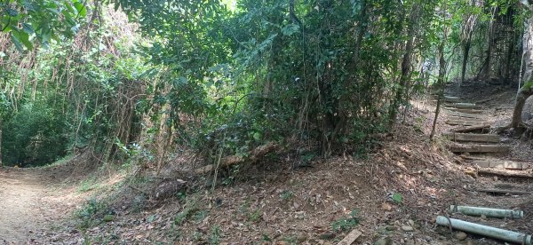 坔埔山(尖山嶺).鳥松2917277