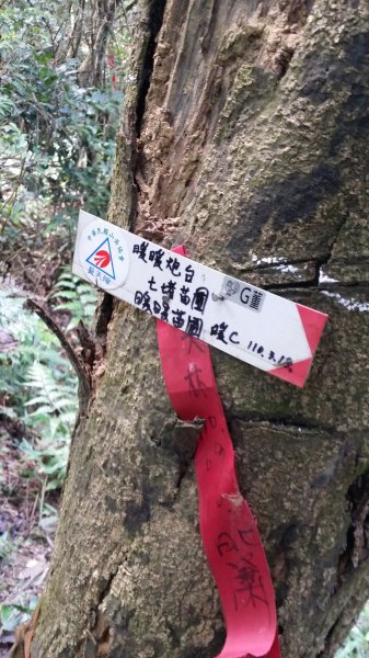 拔西猴山_草濫古道_姜子寮山1865517