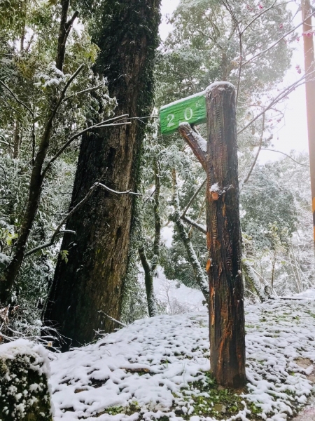 20180203-0204銀色拉拉山263432