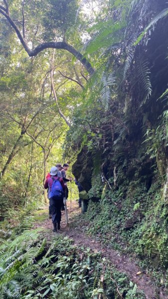 松柏崎保甲路+紙寮坑古道+雞冠山772363