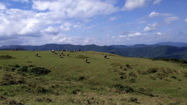 桃源谷+草嶺古道734271