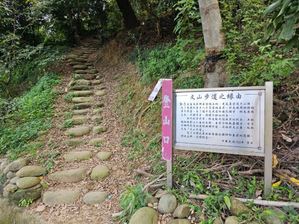 犁頭山、文山步道-2025森遊竹縣皮皮獅探險隊2890096
