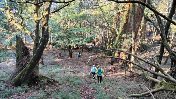 惠蓀大O聖逆走二部曲  2024年12月29日2679248