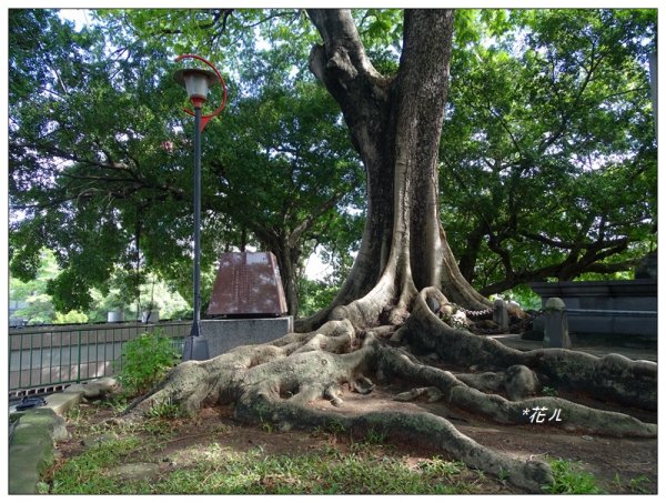 台中公園/砲台山步道637406