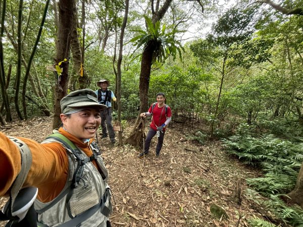 新北 瑞芳 禮樂-保羅尖-雙鬼小霸尖-石梯坑山-半屏瀑布-小錐麓-水管隧道-香巴拉隧道-半屏溪-禮樂2955495