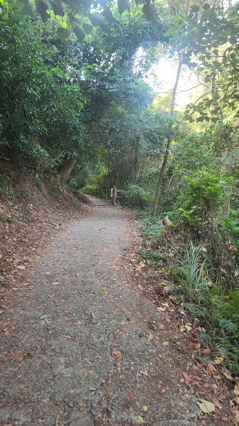 2026-0118新竹新埔文山步道2984640