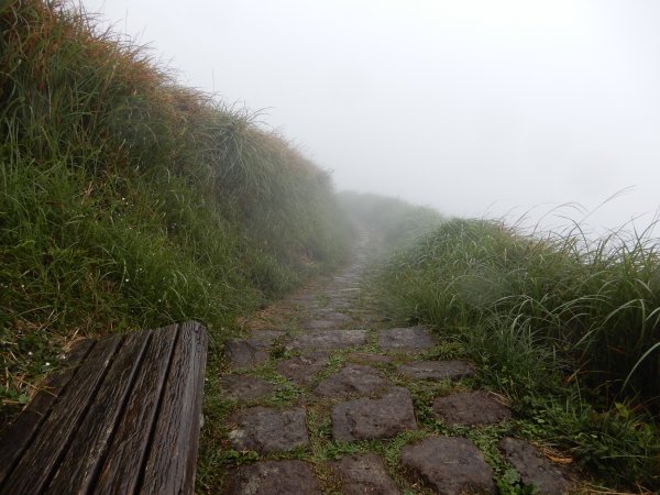 台北大縱走之大屯群峰527099