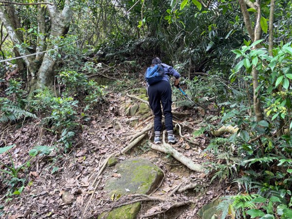 暗影山步道2753099
