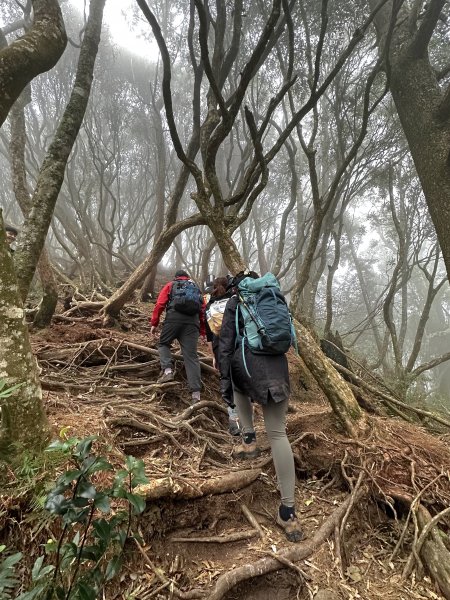 年輕人爬山趣～ 高島縱走 3/4 20232088616