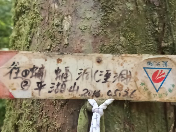 平溪區南山坪蝙蝠洞(濕洞)+平湖山+平湖尖+蝙蝠洞(乾洞)O型2833873