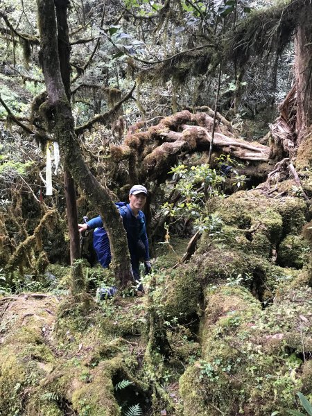 讓嚮導犬小黑帶你悠遊唐穗山1391218